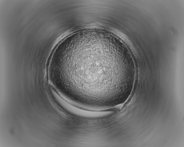 X0000112881234200909041635