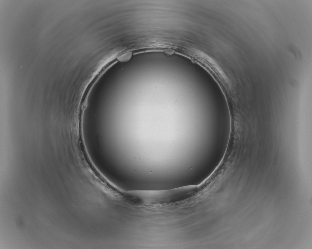 X0000112881236200909041635