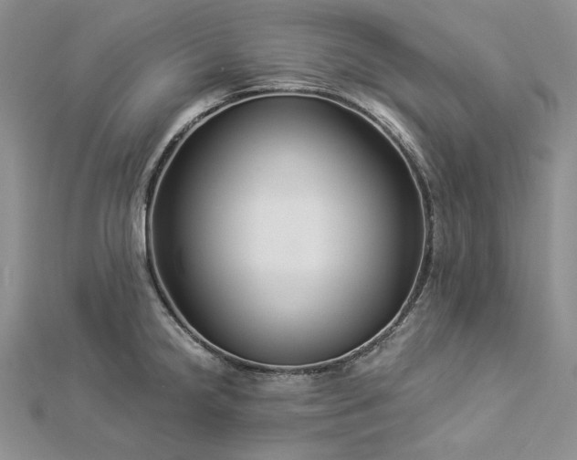 X0000112881238200909041635