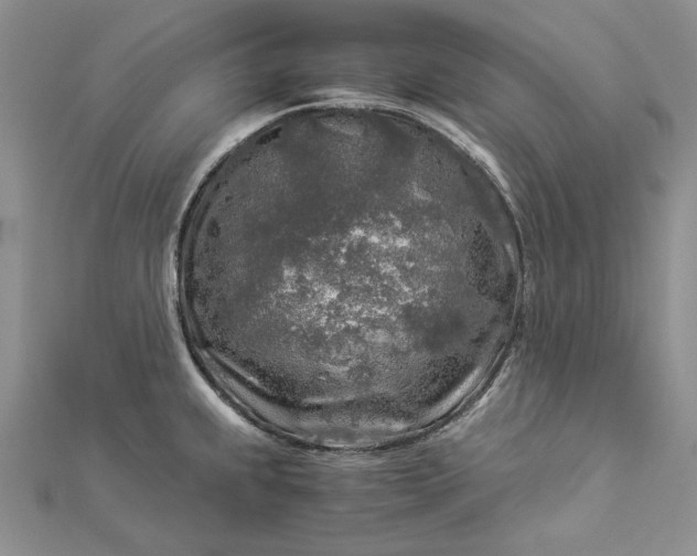 X0000112881239200909041635