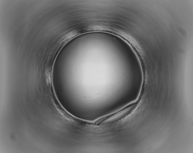 X0000112881241200909041635