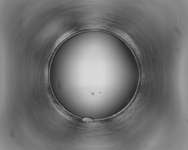 X0000112881242200909041635