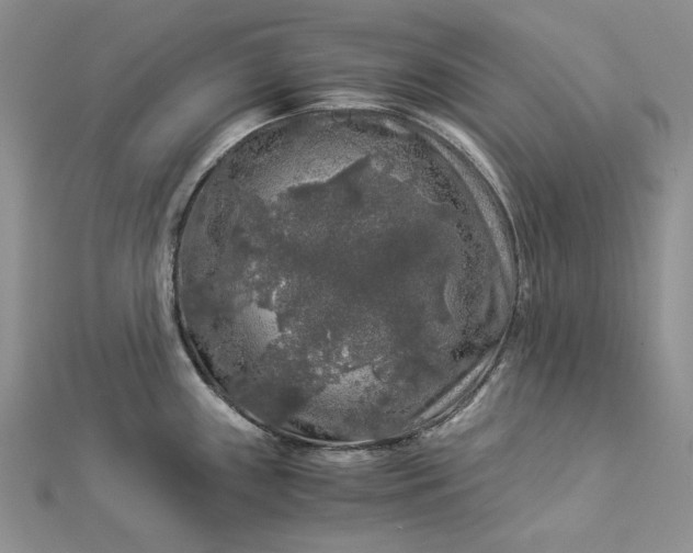 X0000112881243200909041635