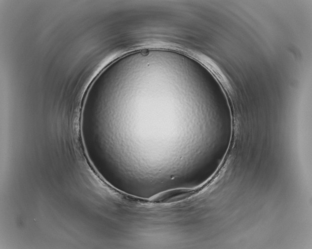 X0000112881244200909041635