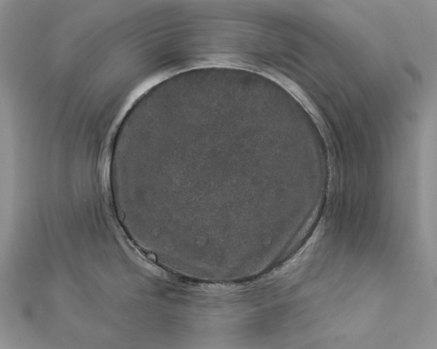 X0000112881246200909041635