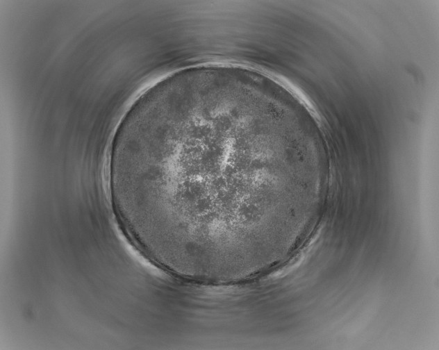 X0000112881247200909041635