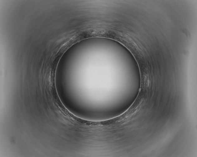 X0000112881250200909041634