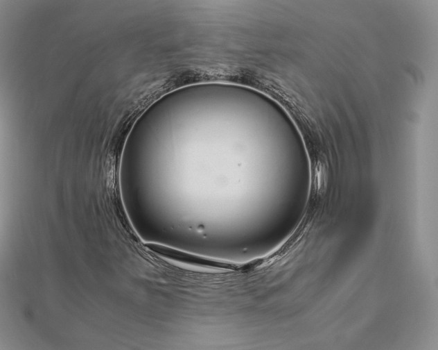 X0000112881251200909041634