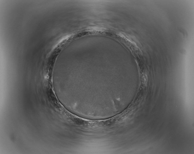 X0000112881254200909041634