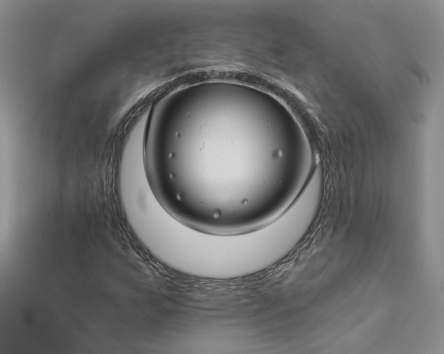 X0000112881255200909041634