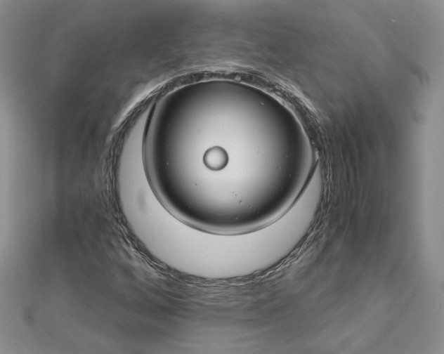 X0000112881256200909041634