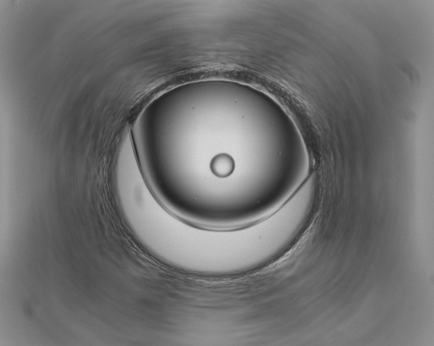 X0000112881257200909041634