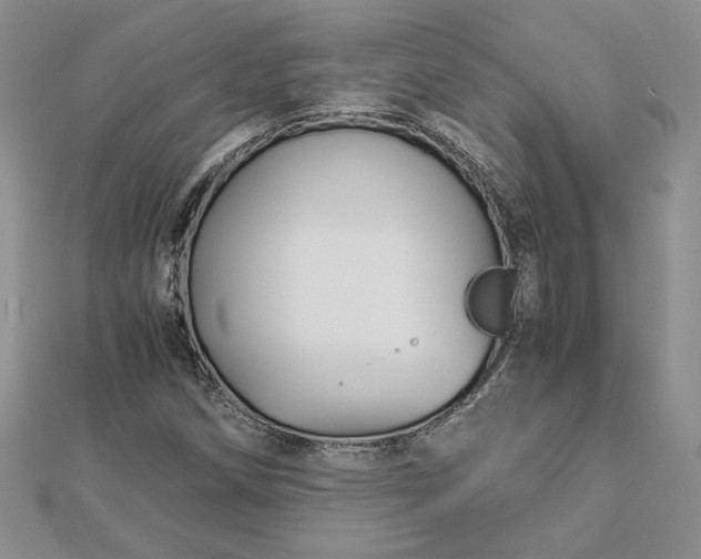 X0000112881258200909041634