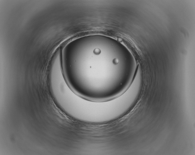 X0000112881260200909041634