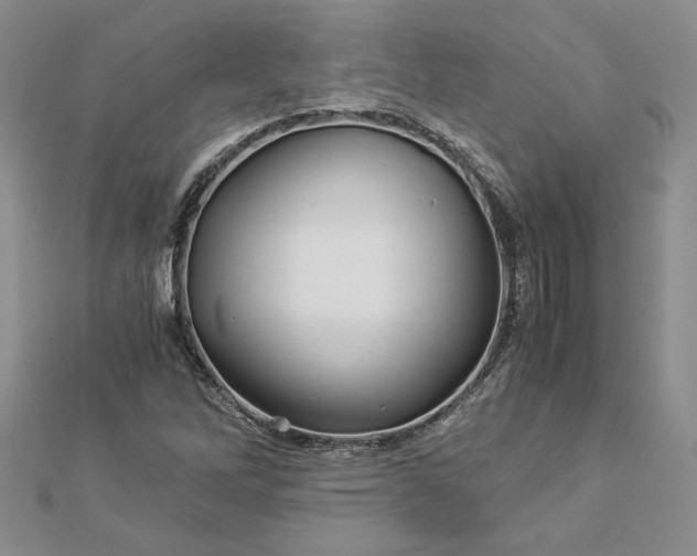 X0000112881262200909041634