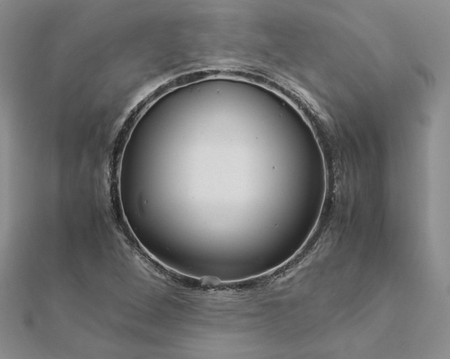 X0000112881264200909041634