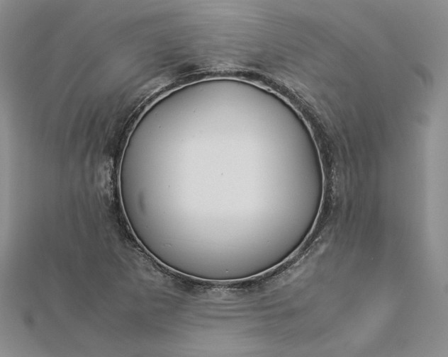 X0000112881265200909041634