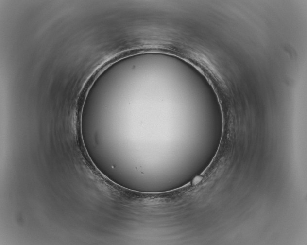 X0000112881268200909041634