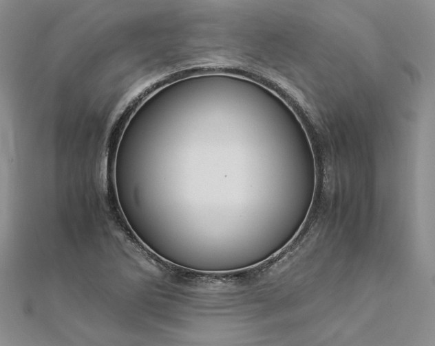 X0000112881270200909041634