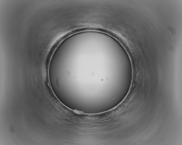 X0000112881271200909041634