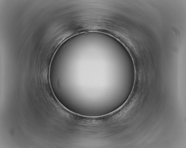 X0000112881273200909041634