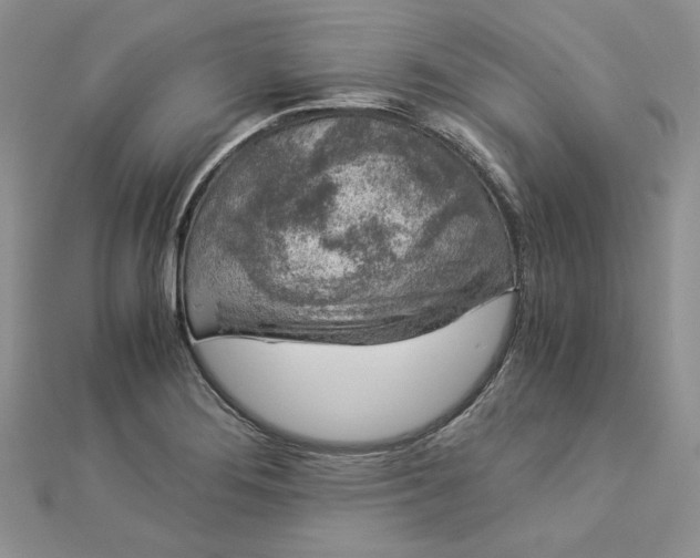 X0000112881276200909041634