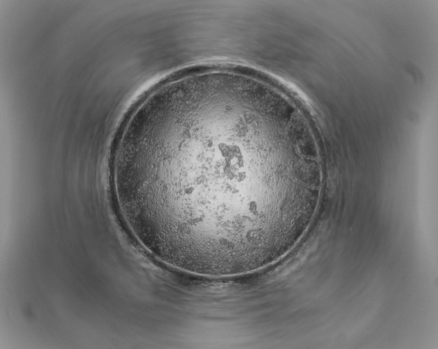 X0000112881279200909041634