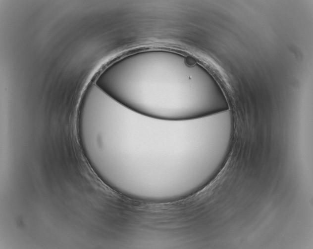 X0000112881280200909041634