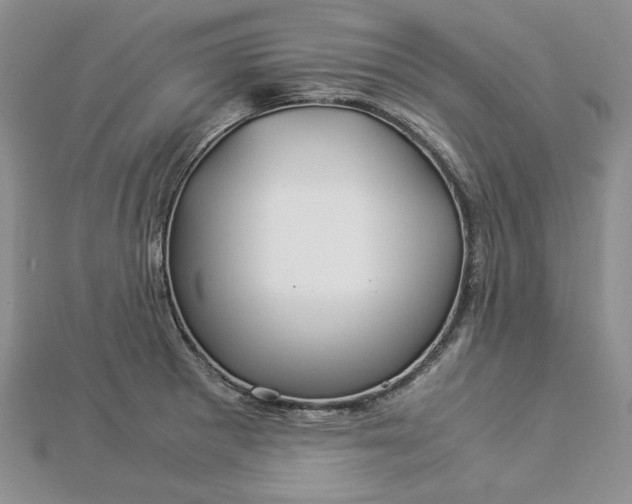 X0000112881281200909041634