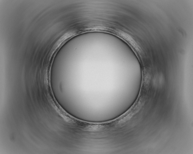 X0000112881282200909041634