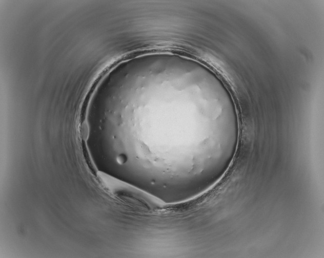 X0000112881283200909041634