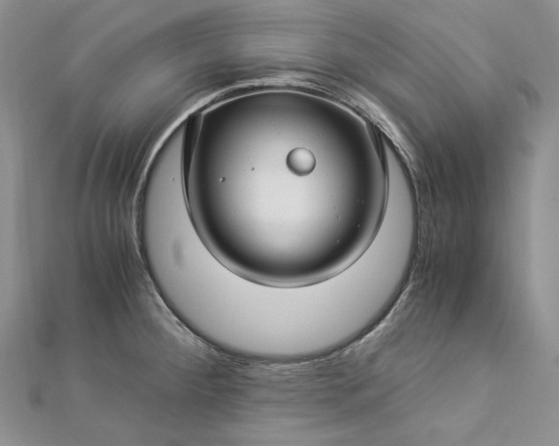 X0000112881284200909041634