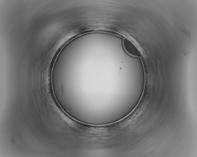 X0000112881285200909041634