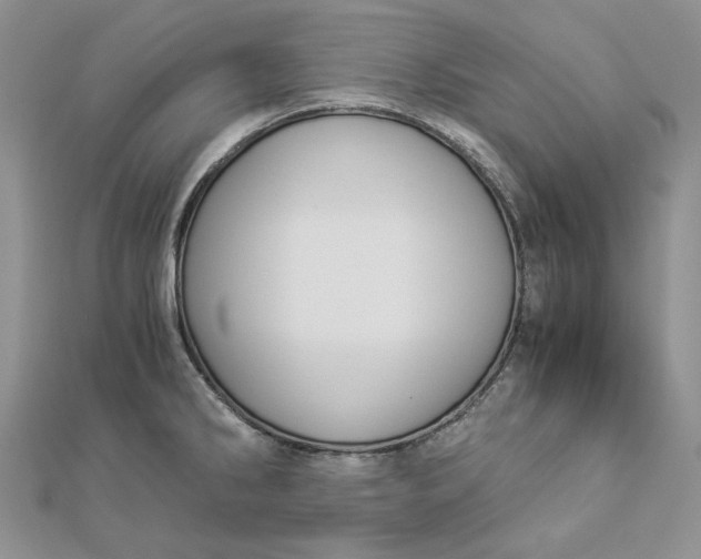 X0000112881286200909041634