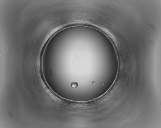 X0000112881287200909041634