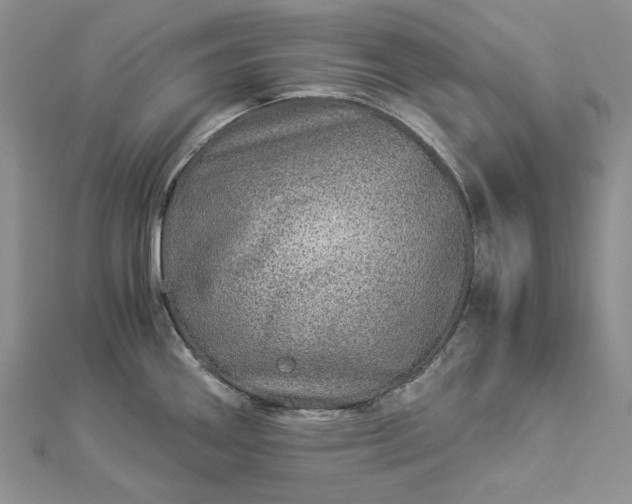 X0000112881290200909041634