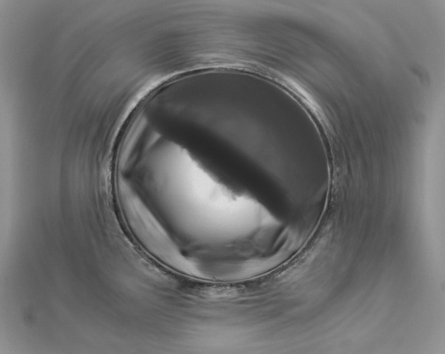 X0000112881291200909041634