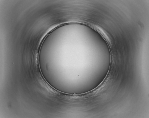 X0000112881292200909041634