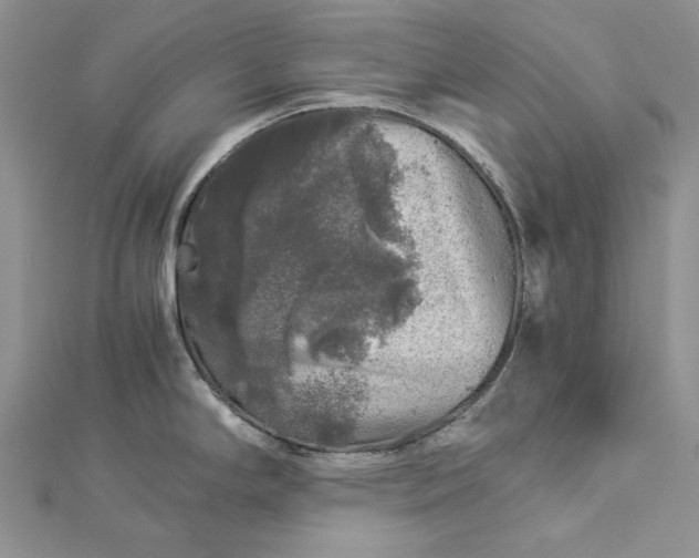 X0000112881294200909041634