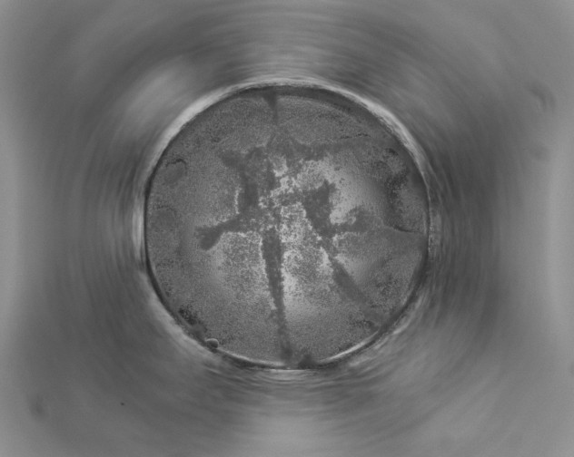 X0000112881295200909041634