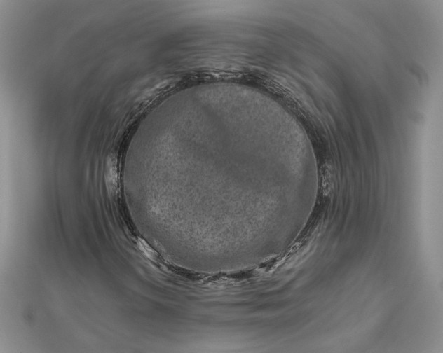 X0000112881298200909041633