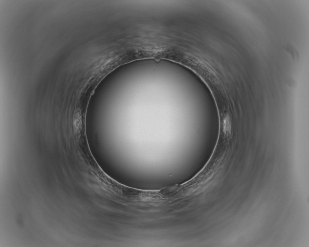 X0000112881299200909041633