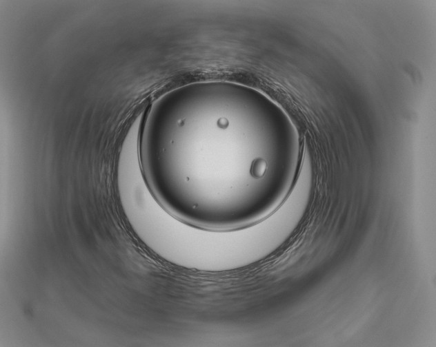 X0000112881300200909041633