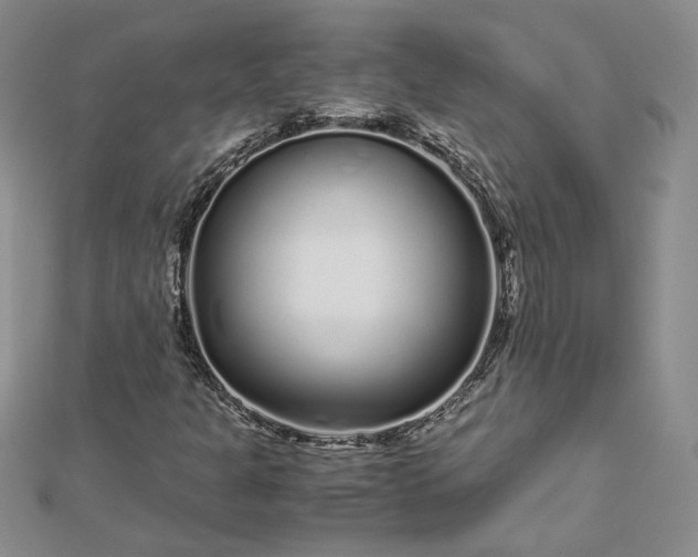 X0000112881301200909041633