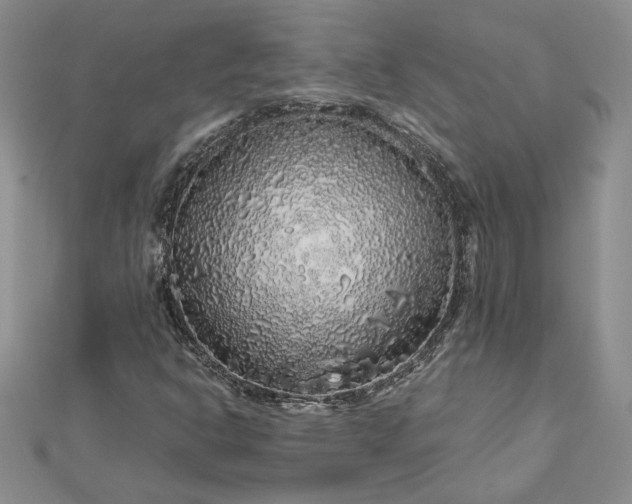 X0000112881302200909041633