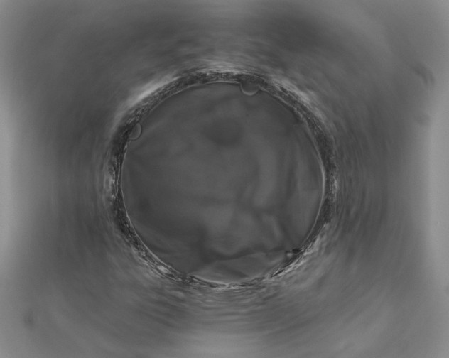 X0000112881303200909041633