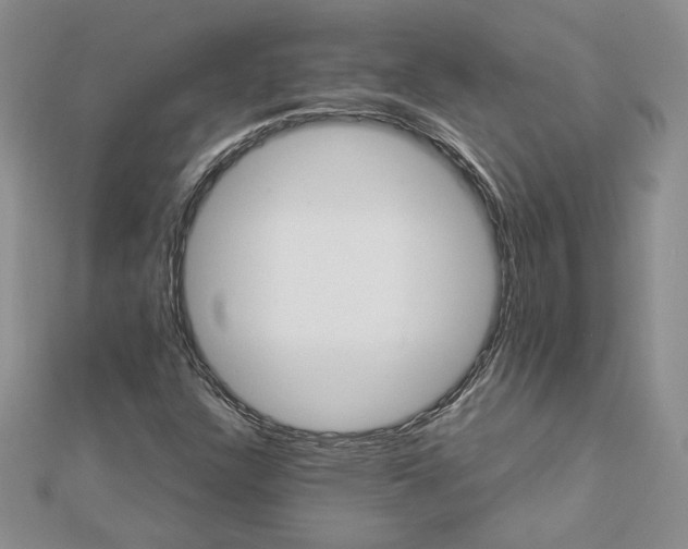 X0000112881304200909041633