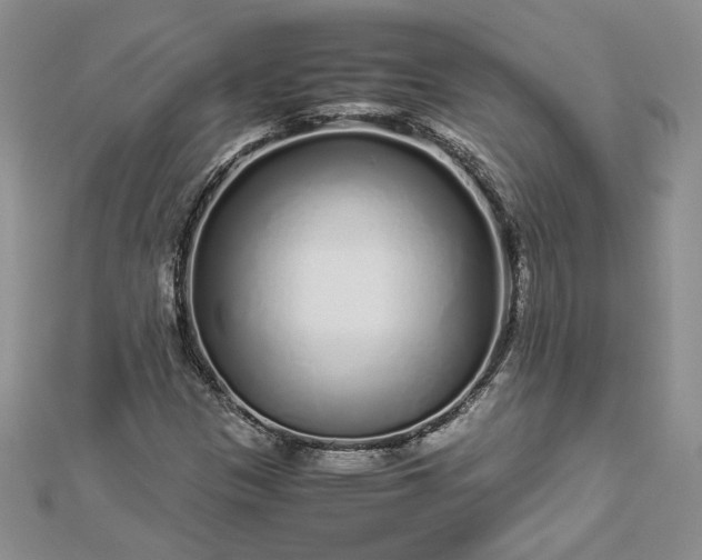 X0000112881305200909041633