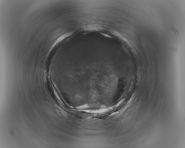 X0000112881306200909041633