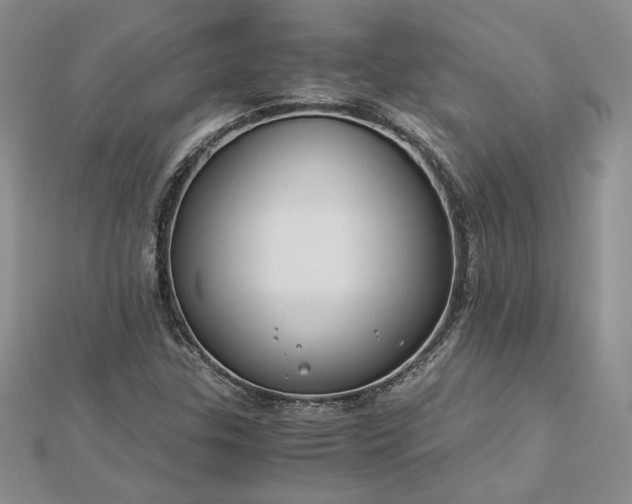 X0000112881307200909041633